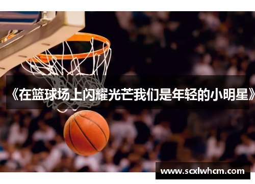 《在篮球场上闪耀光芒我们是年轻的小明星》